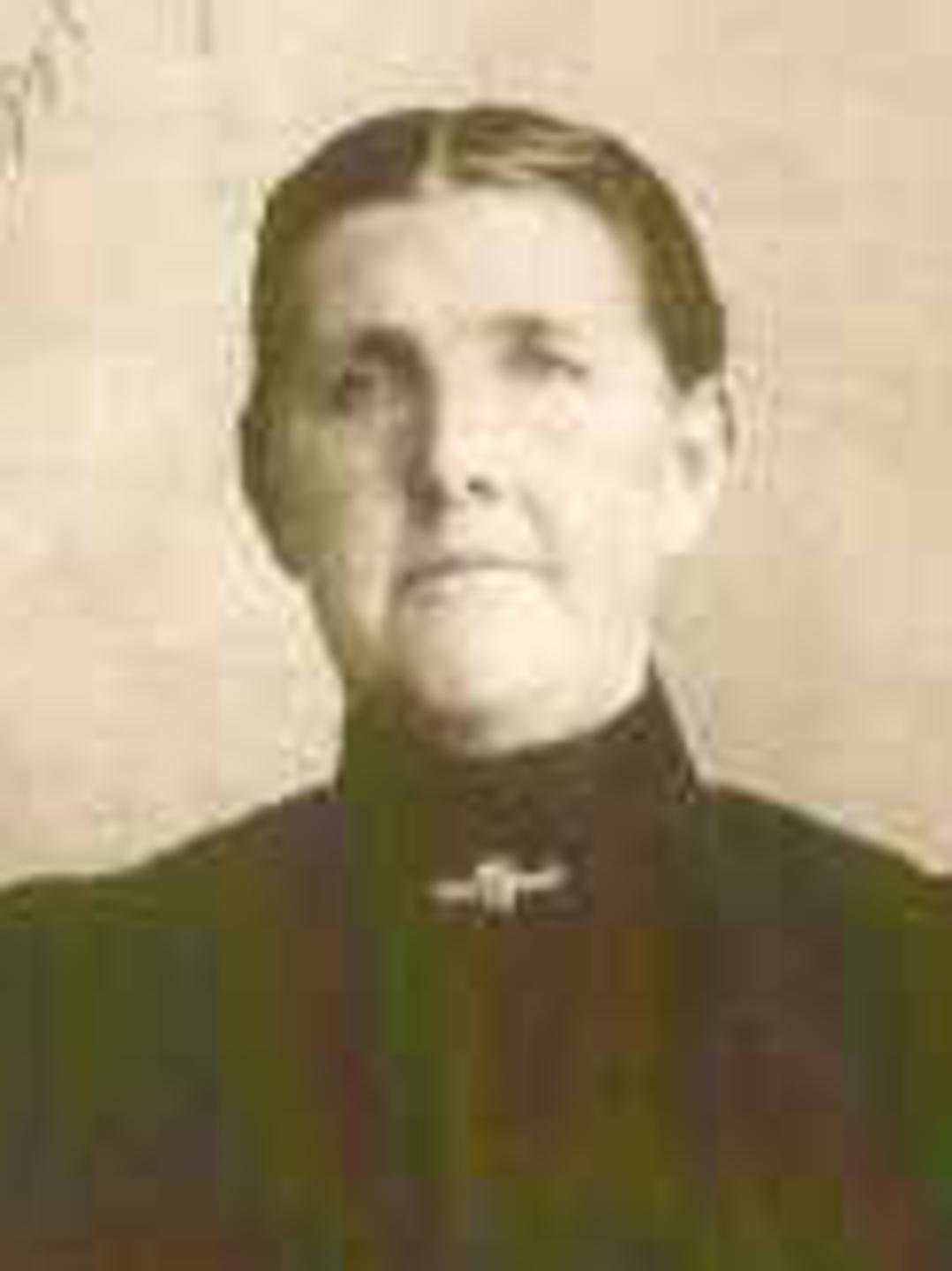Susan Mosley (1845 - 1905) Profile
